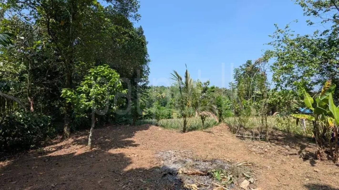 Commercial Land for Sale in Minuwangoda