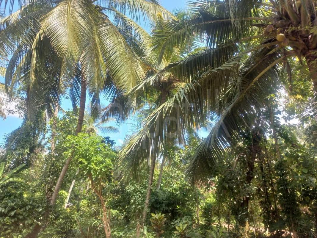 House for Sale in Bopitiya ads-image-1