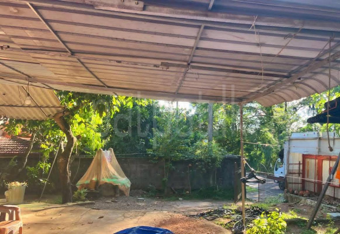 Agricultural Land for Sale in Mandawala
