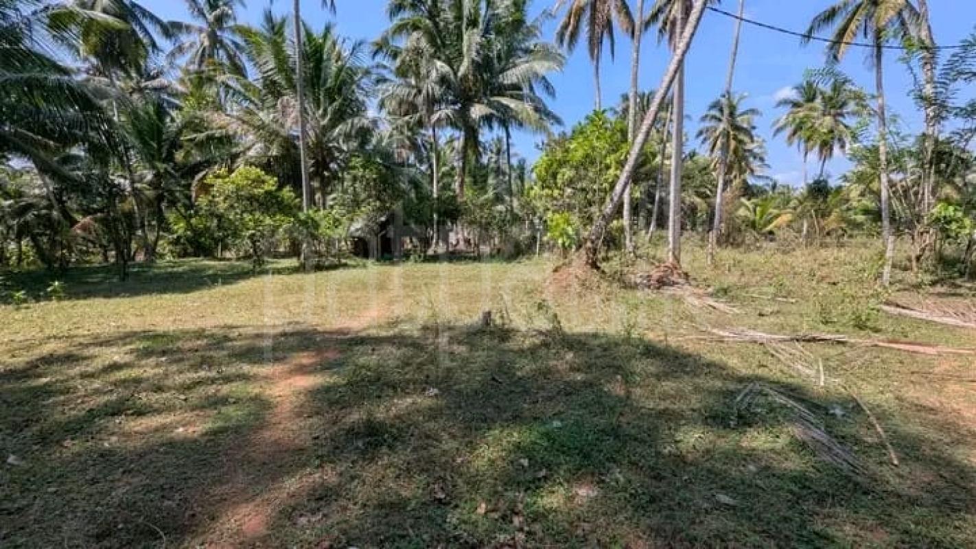 Commercial Land for Sale in Kadawatha ads-image-1