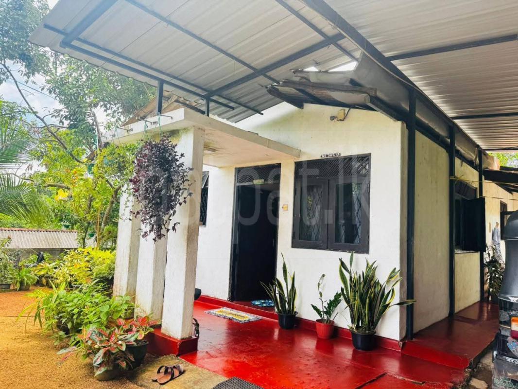 House for Sale in Homagama ads-image-1