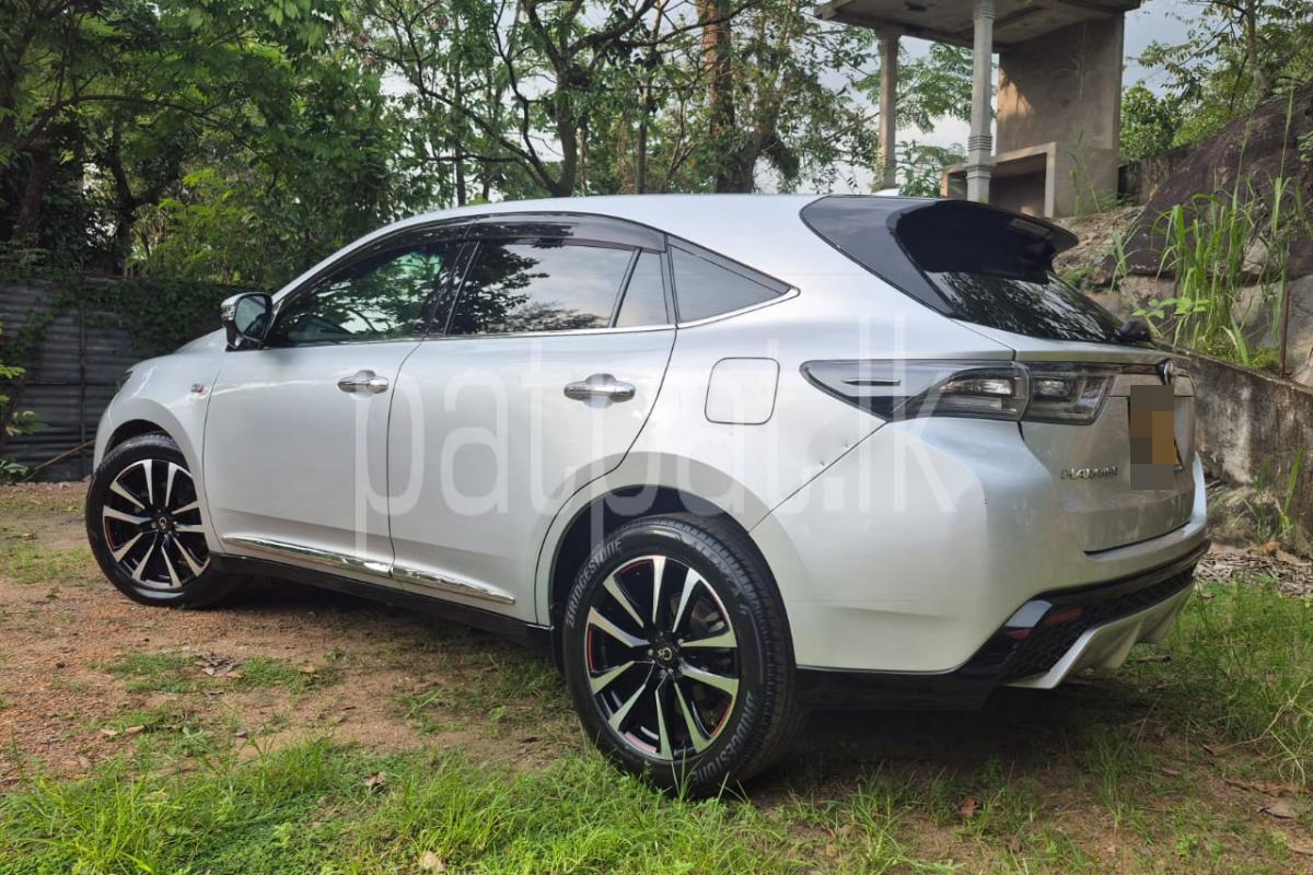 Advertisement image 2