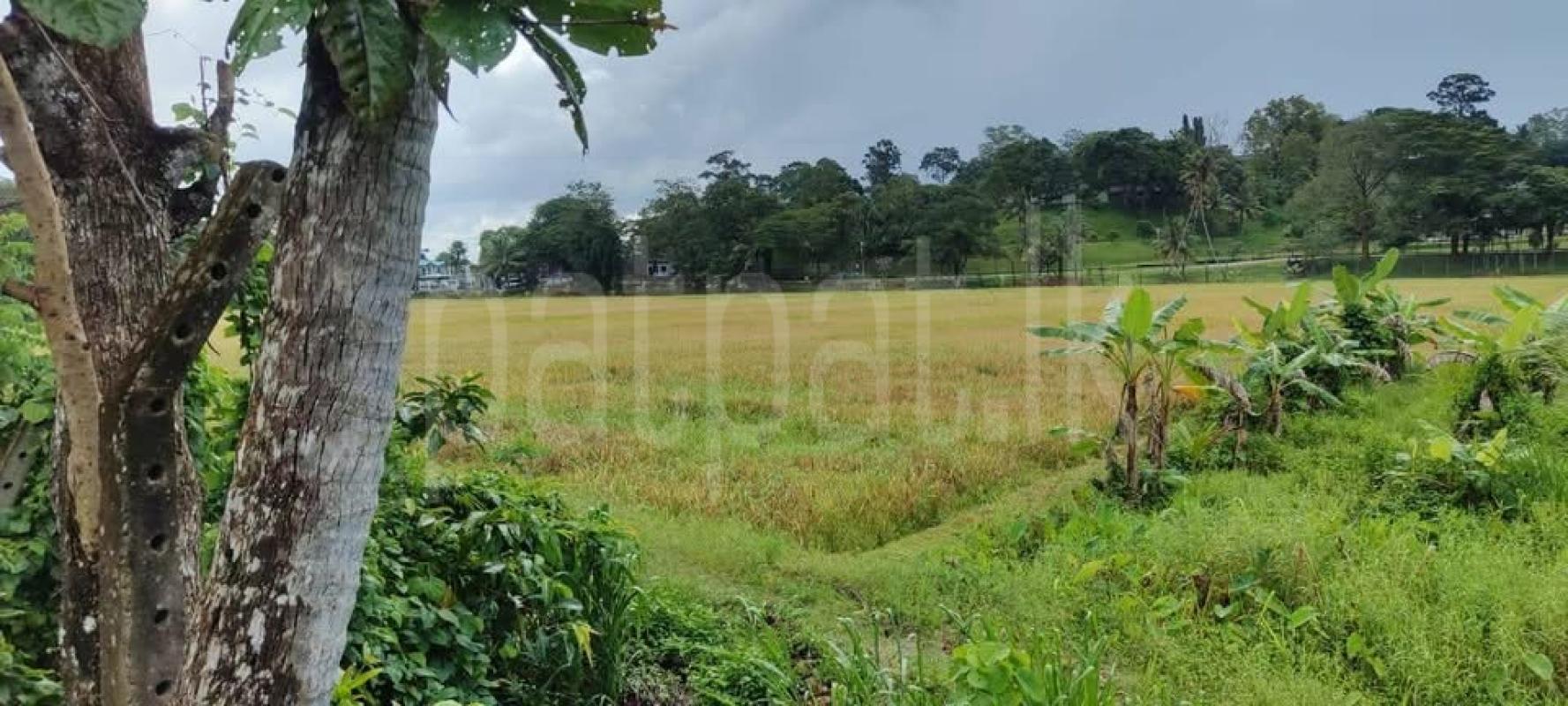Residential Land for Sale in Athurugiriya