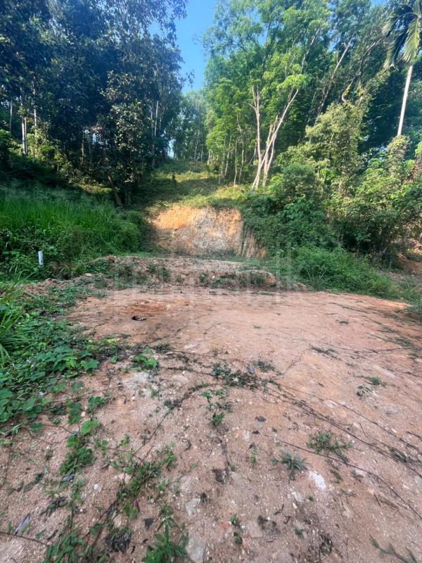Commercial Land for Sale in Galigamuwa Town