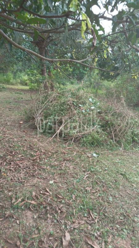 premium-listing-image