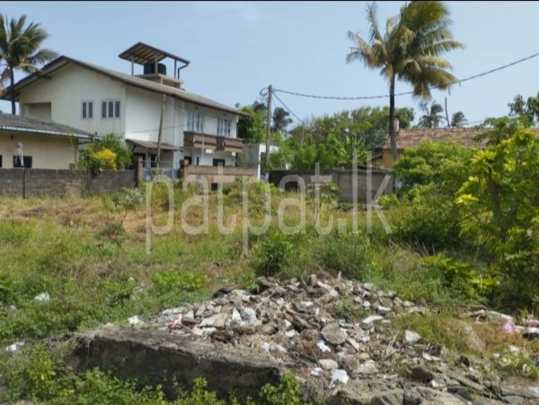 Commercial Land for Sale in Ratmalana ads-image-1