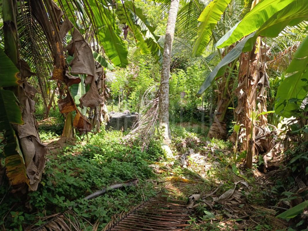 Residential Land for Sale in Horana