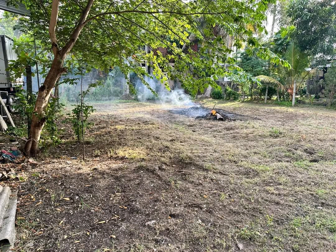 Residential Land for Sale in Pamunuwatta