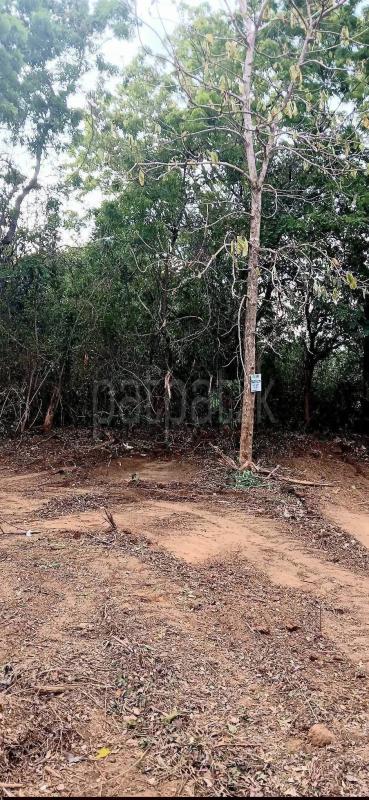 Residential Land for Sale in Kataragama