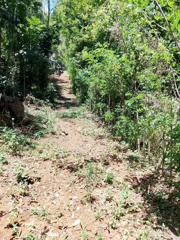 Residential Land for Sale in Kandy