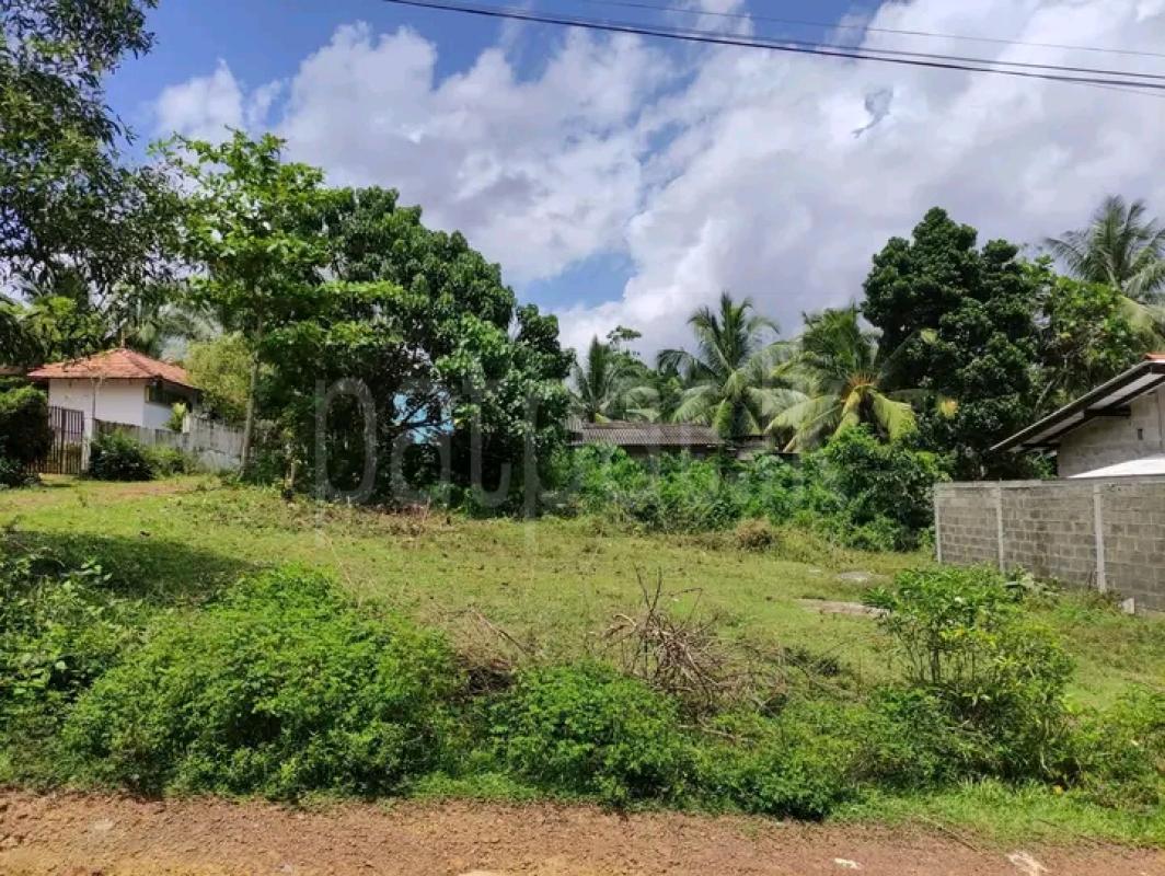 Residential Land for Sale in Millaniya ads-image-1