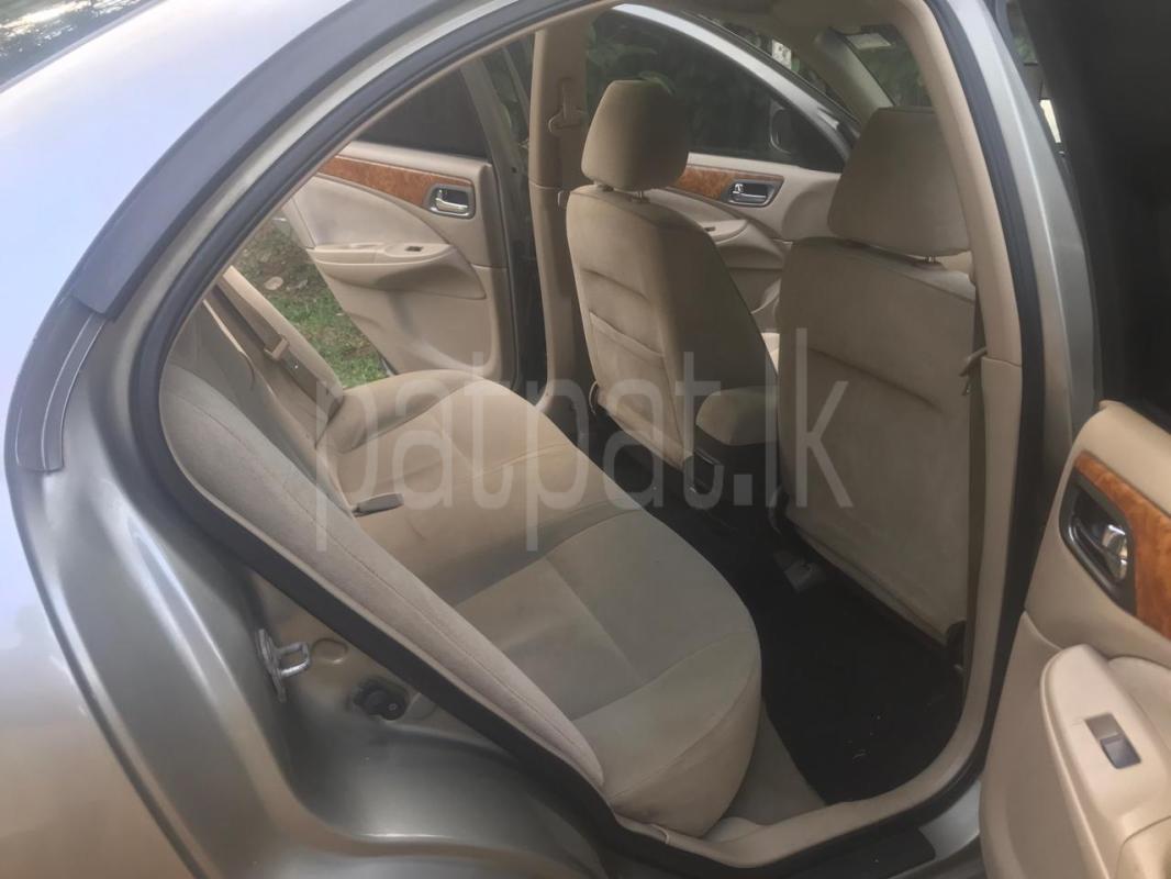 Advertisement image 5