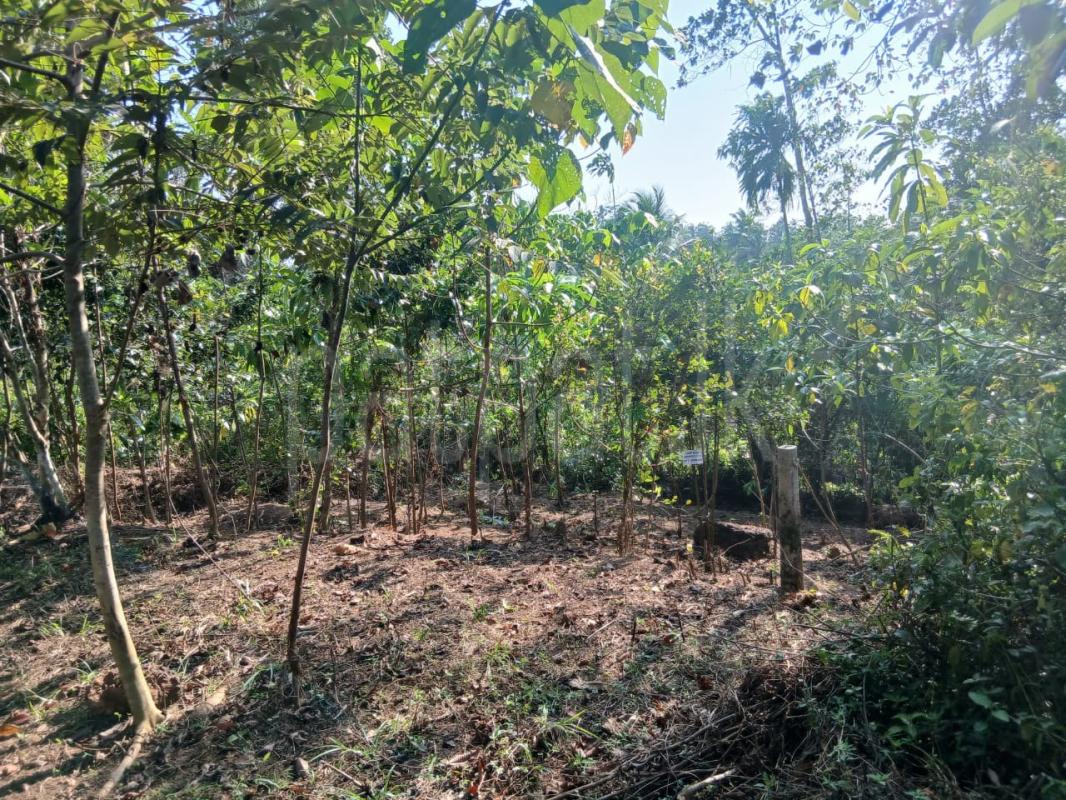 Residential Land for Sale in Kalutara