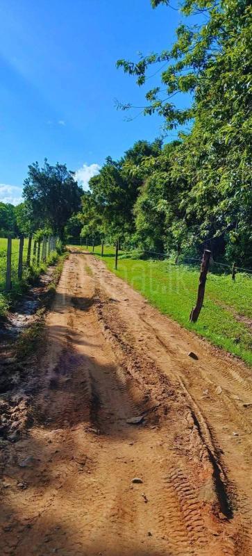 Residential Land for Sale in Kataragama