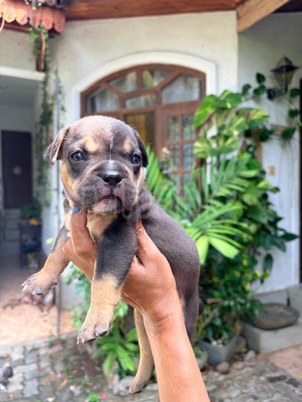 Advertisement image 3