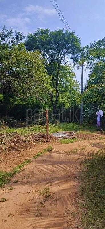 Residential Land for Sale in Kataragama