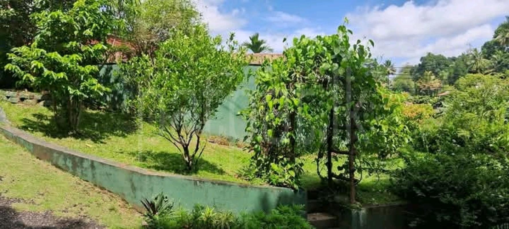 House for Sale in Kandy
