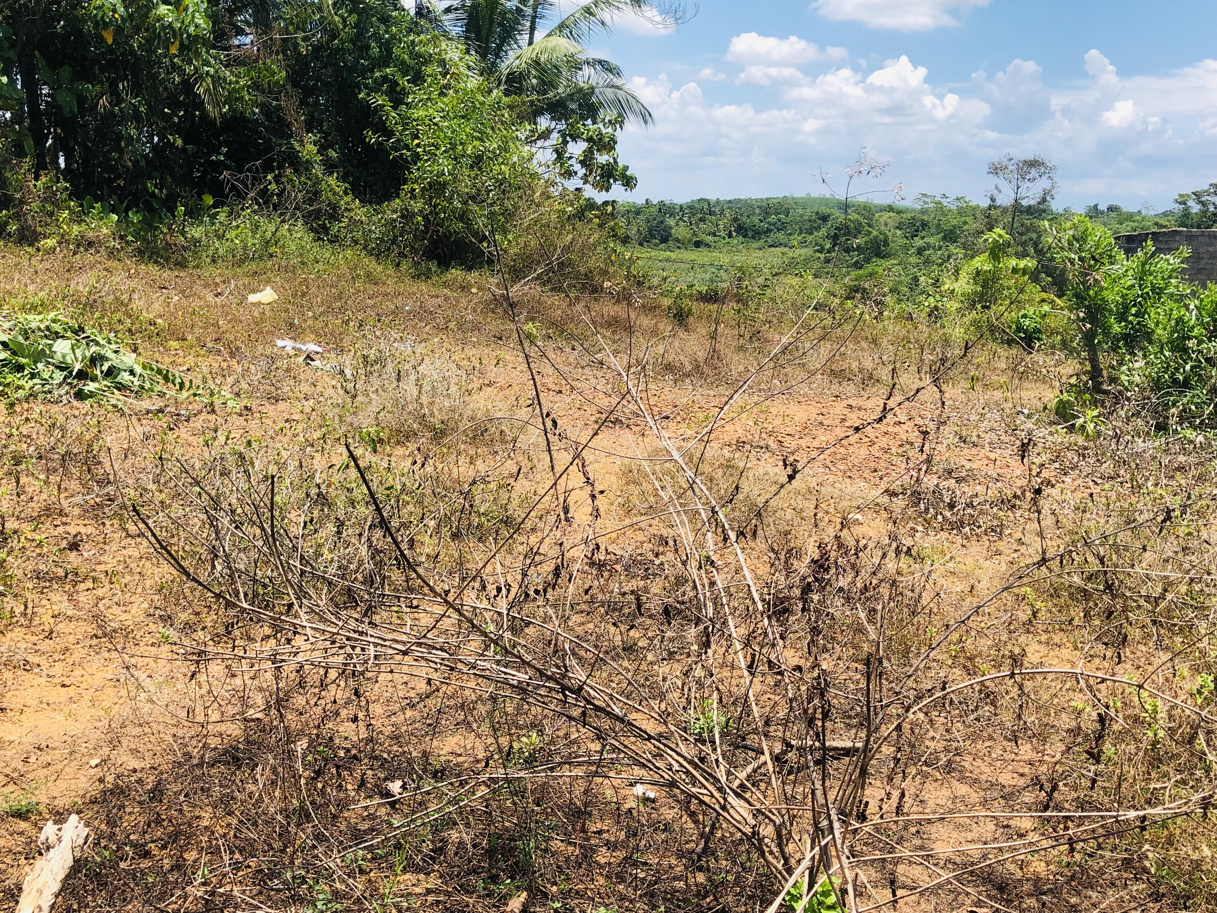 Residential Land for Sale in Koholana