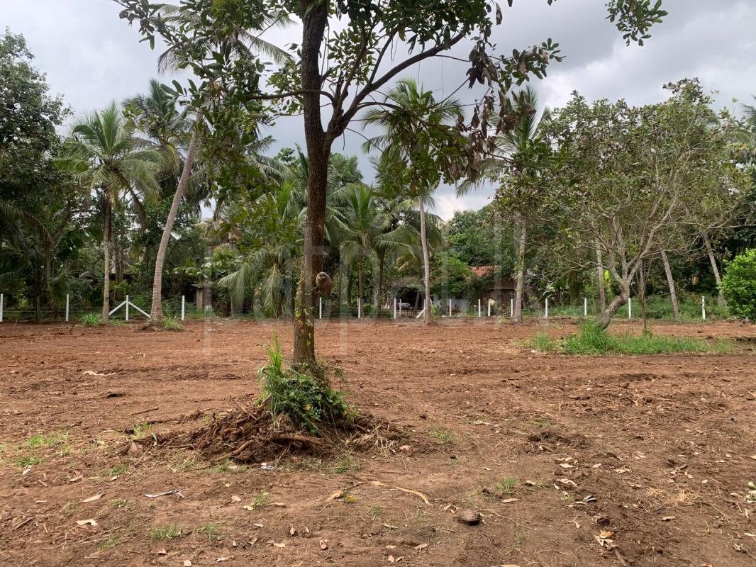 Residential Land for Sale in Anuradhapura