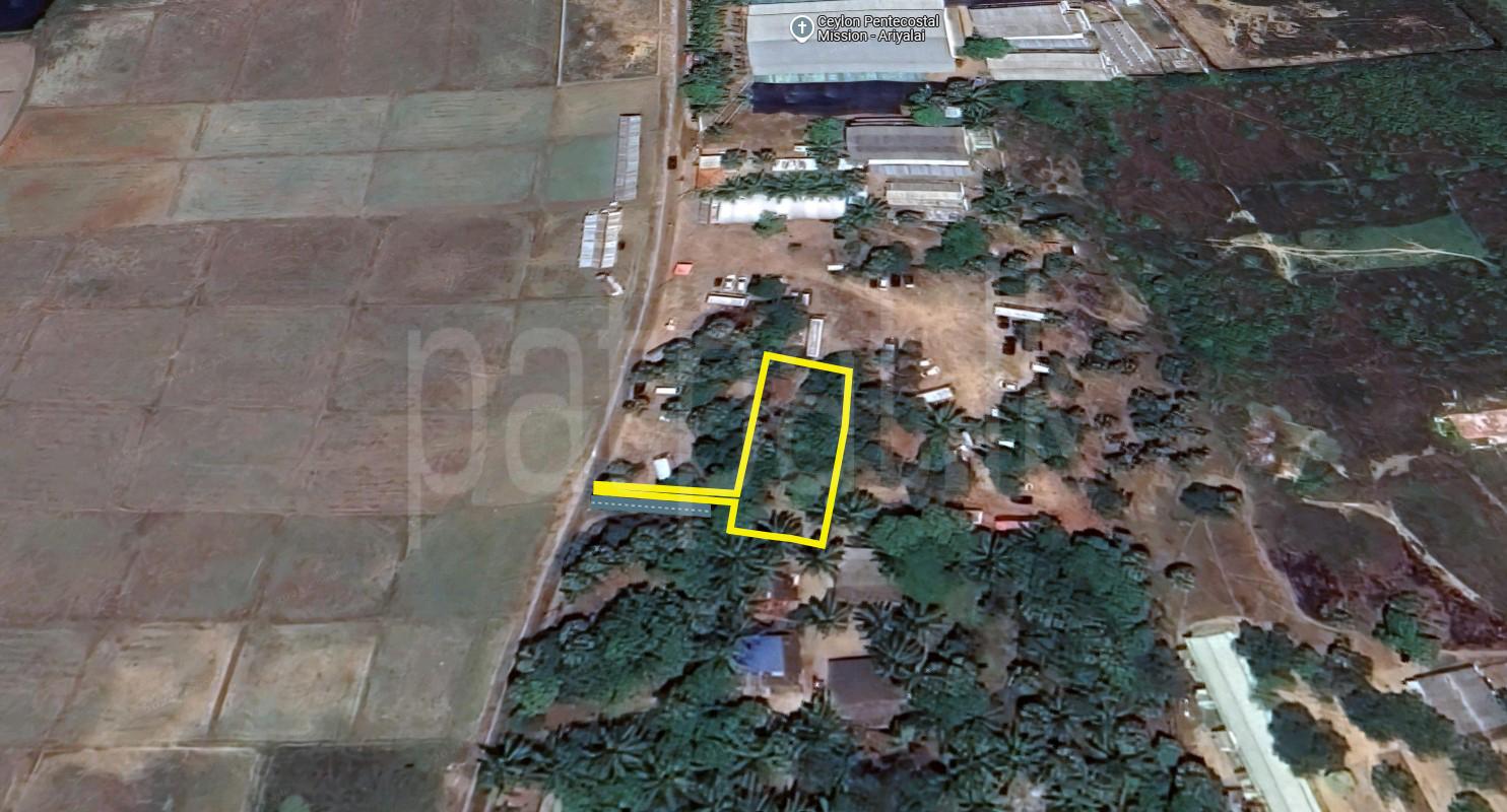 Advertisement image 3