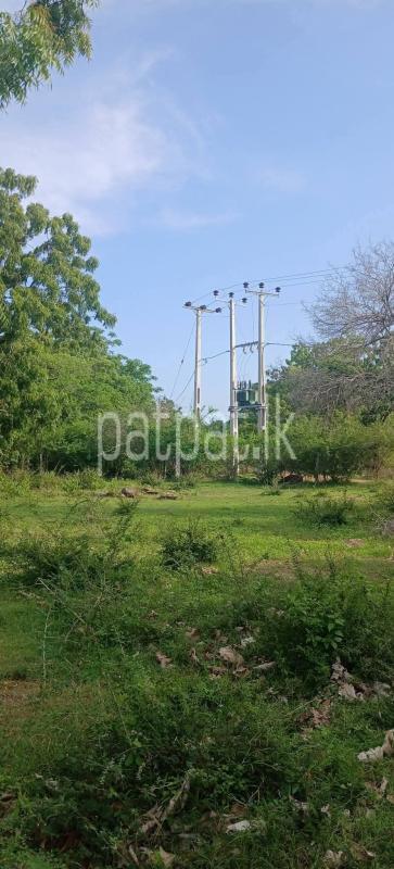 Residential Land for Sale in Kataragama