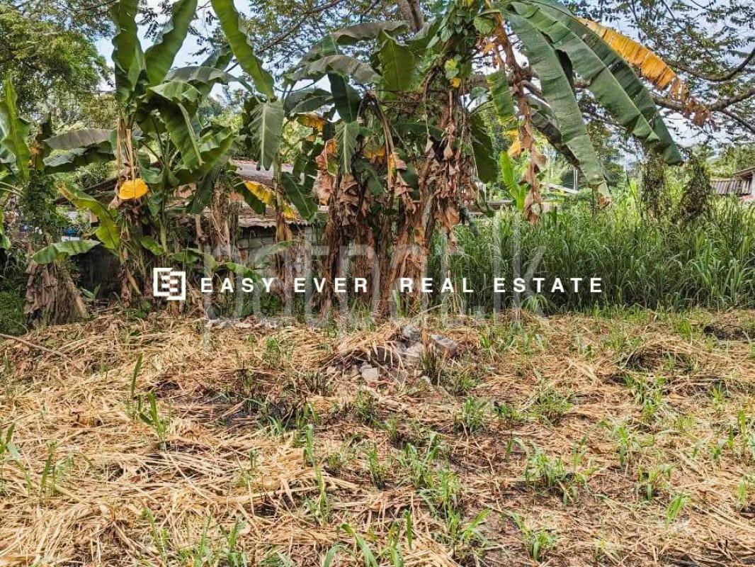 Residential Land for Sale in Nittambuwa