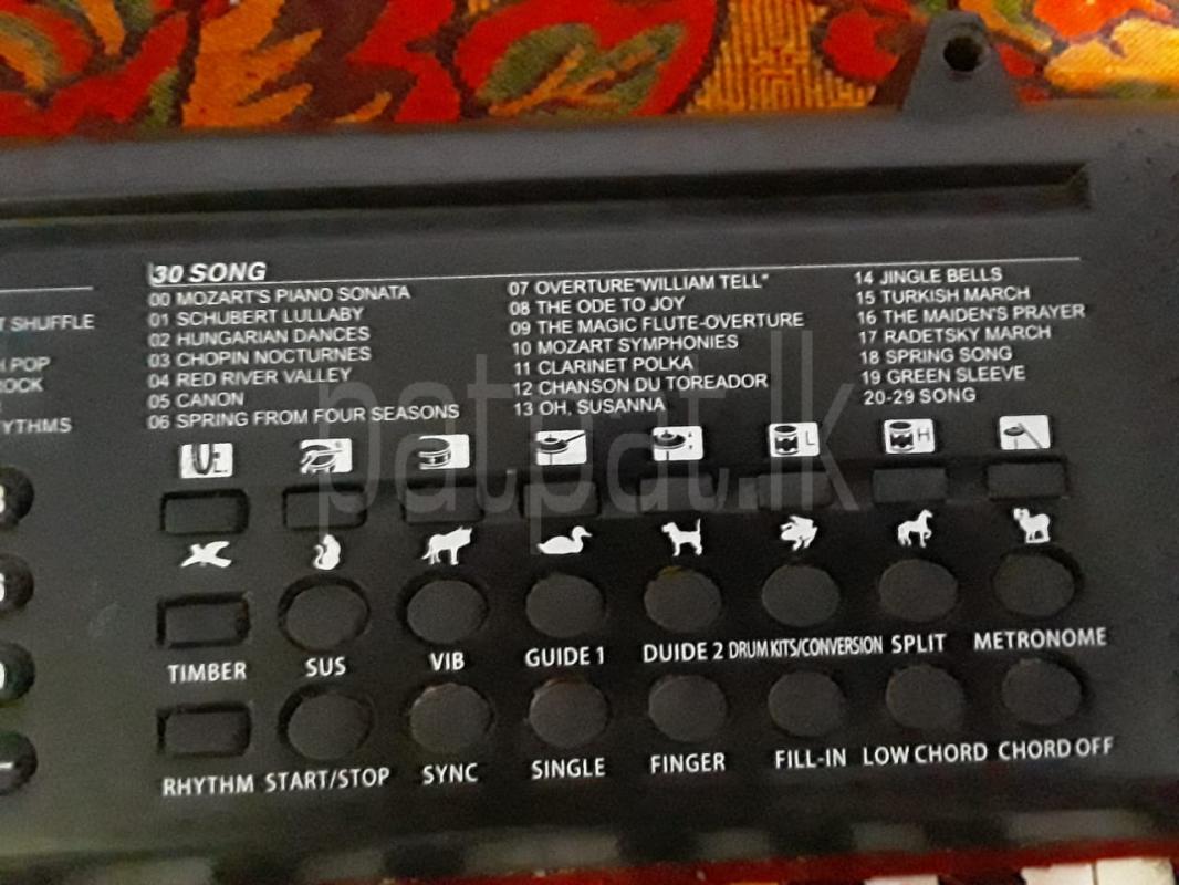 Advertisement image 4