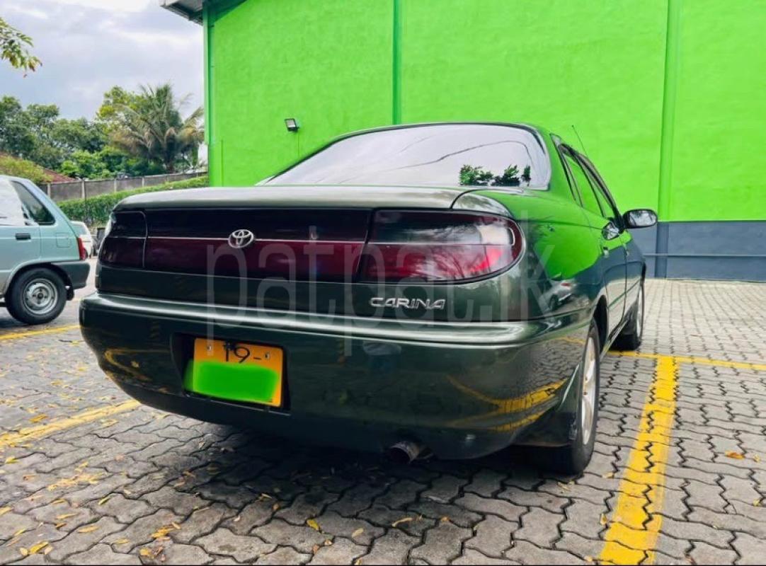 Advertisement image 3