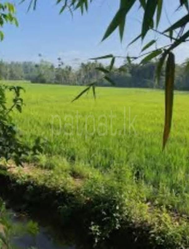 Residential Land for Sale in Pelawatta
