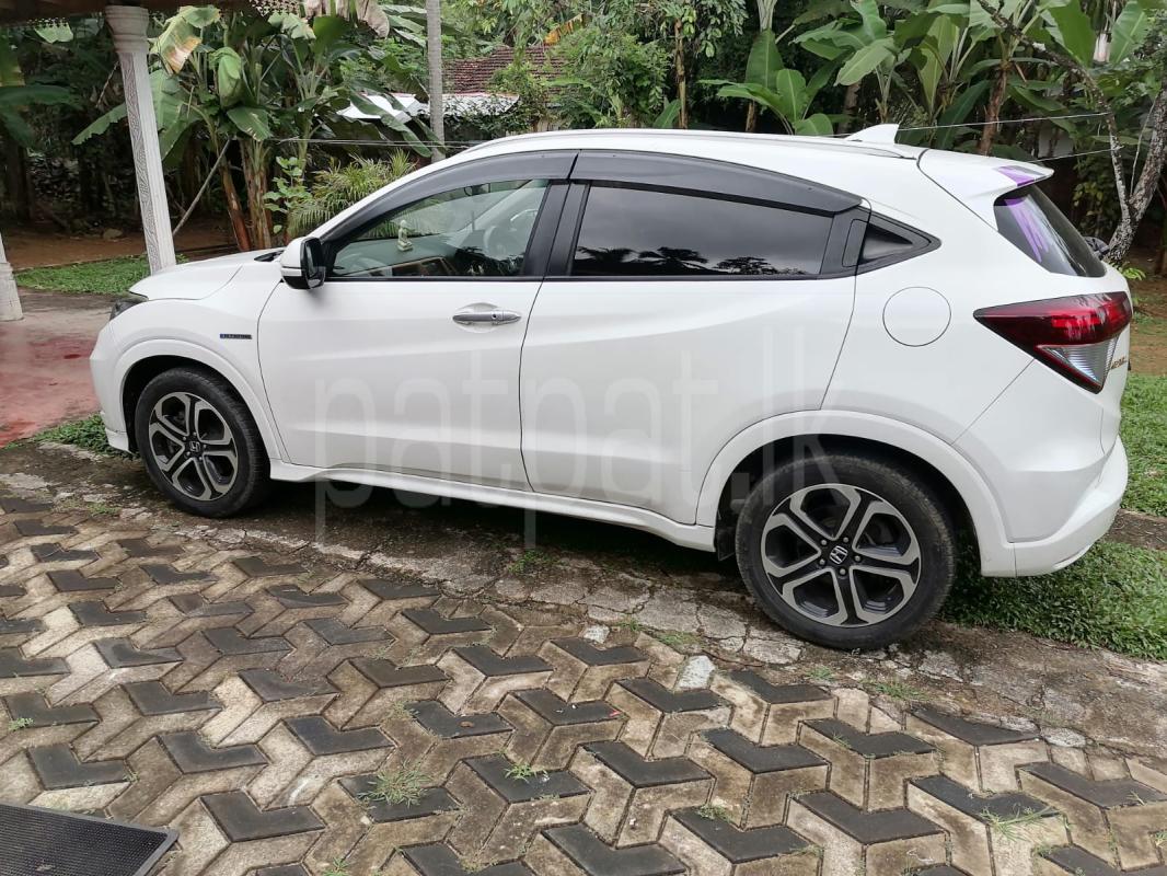 Advertisement image 3