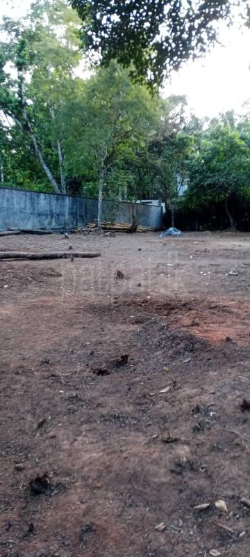 Residential Land for Sale in Bemmulla