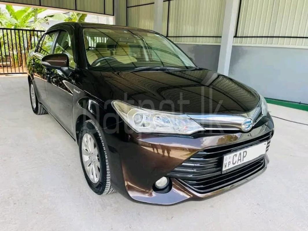 Advertisement image 4