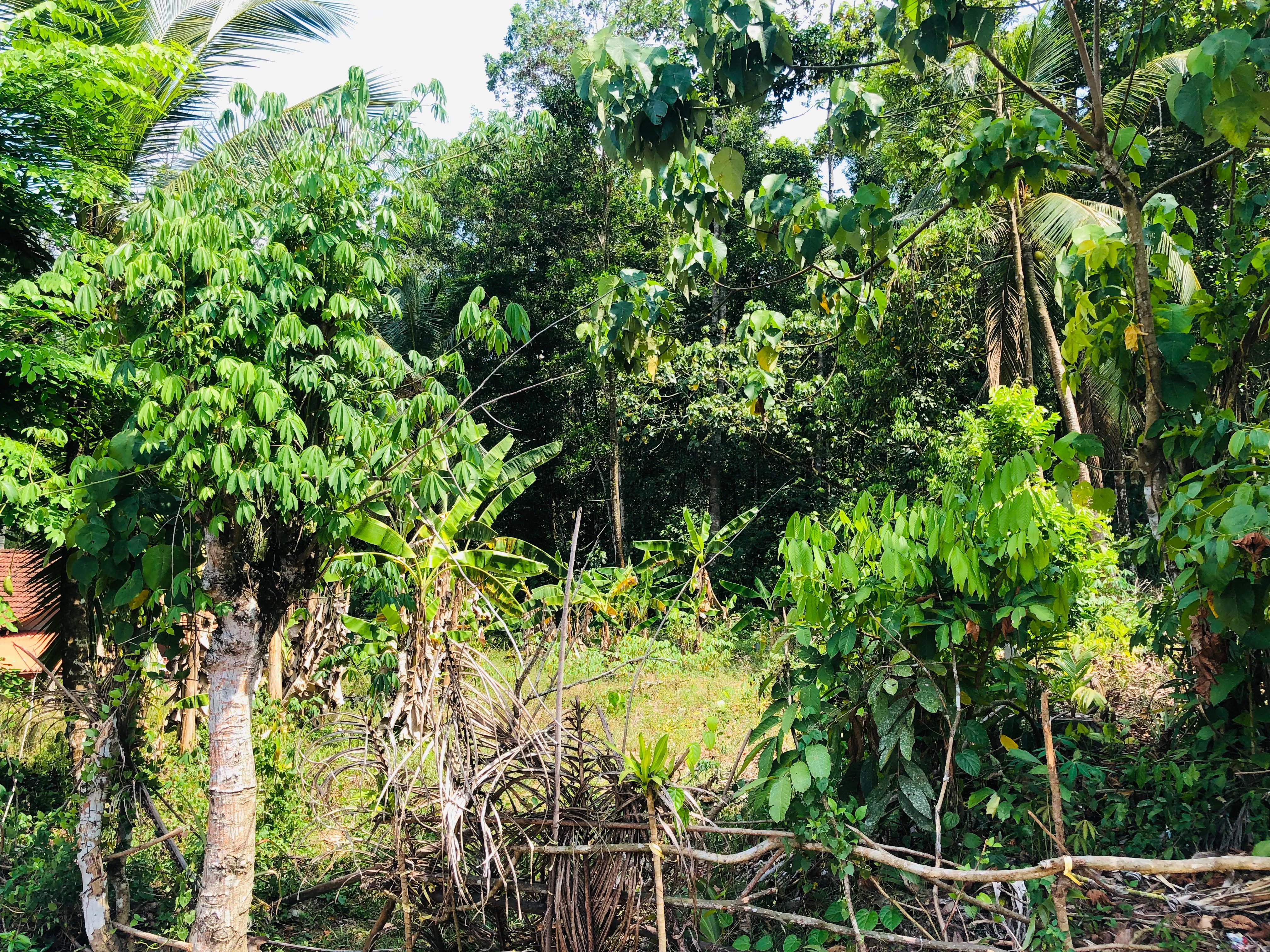 Residential Land for Sale in Kirindiwela