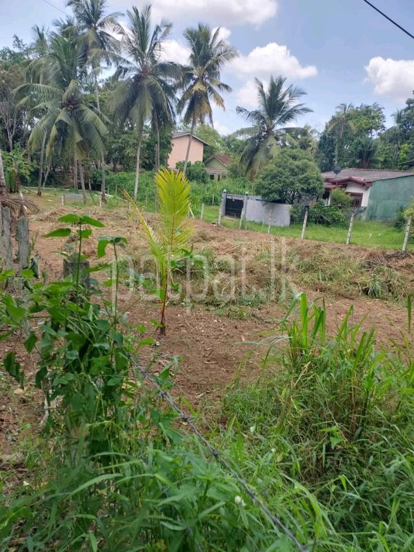 Residential Land for Sale in Padukka ads-image-1