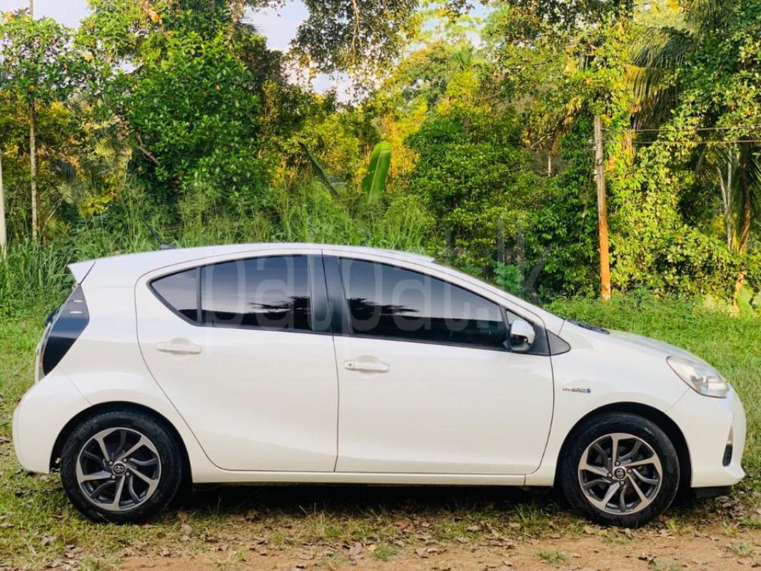 Advertisement image 3