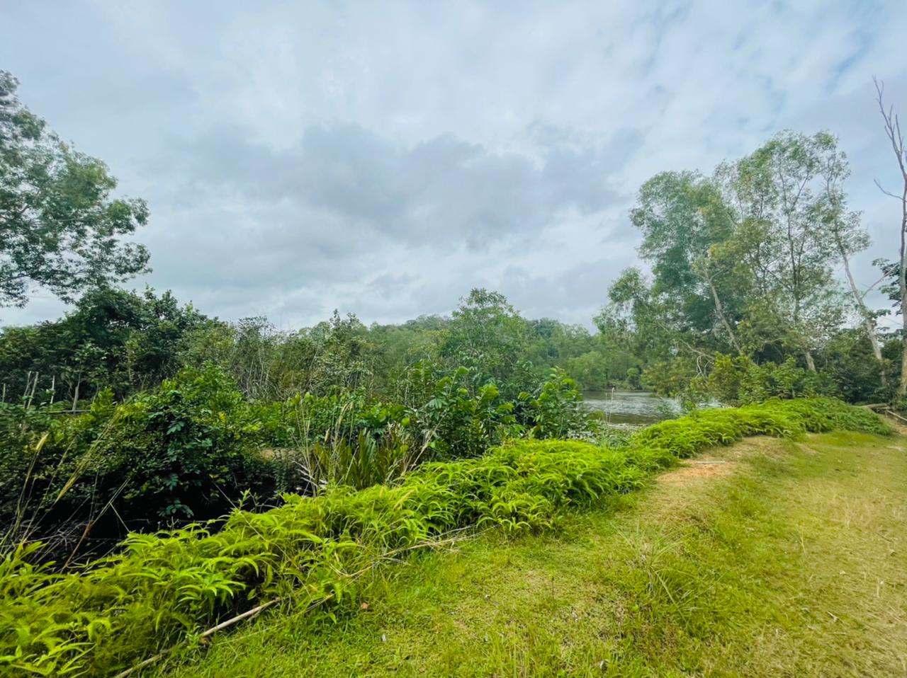 Commercial Land for Sale in Piliyandala