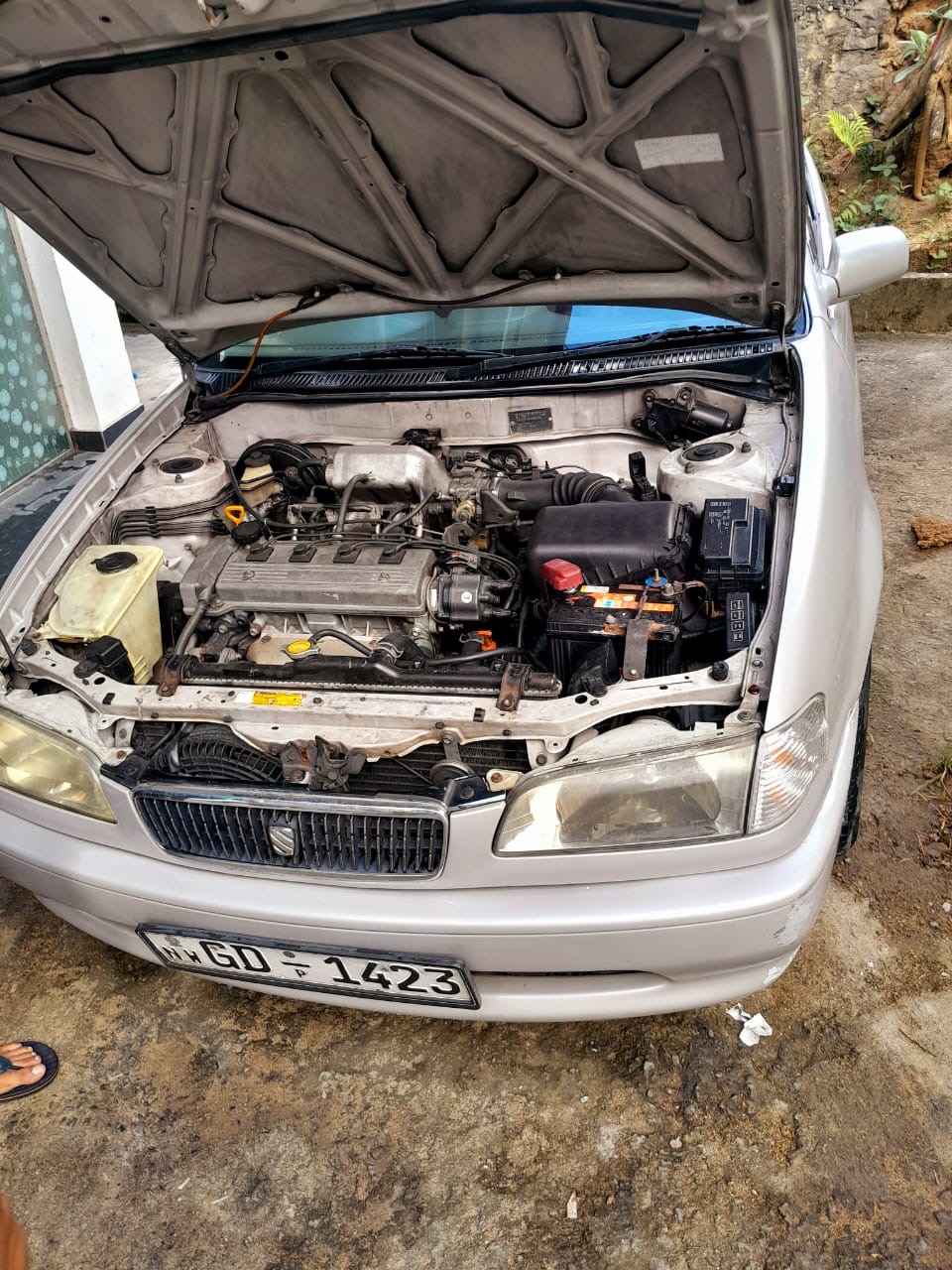 Advertisement image 2