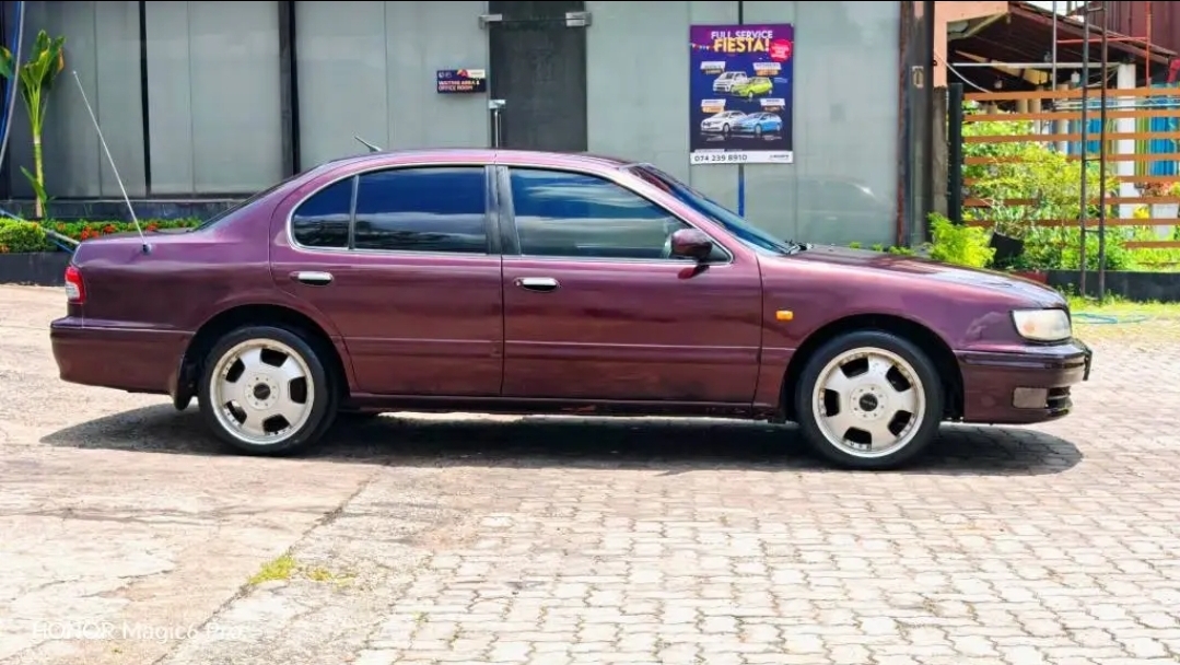 Advertisement image 2