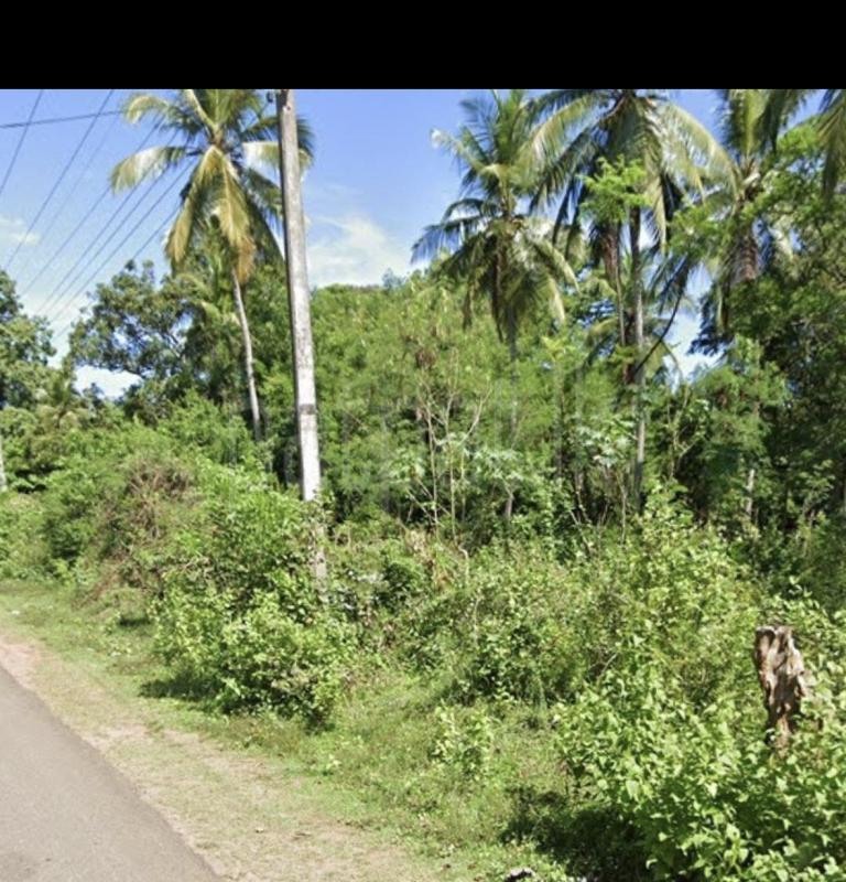 premium-listing-image