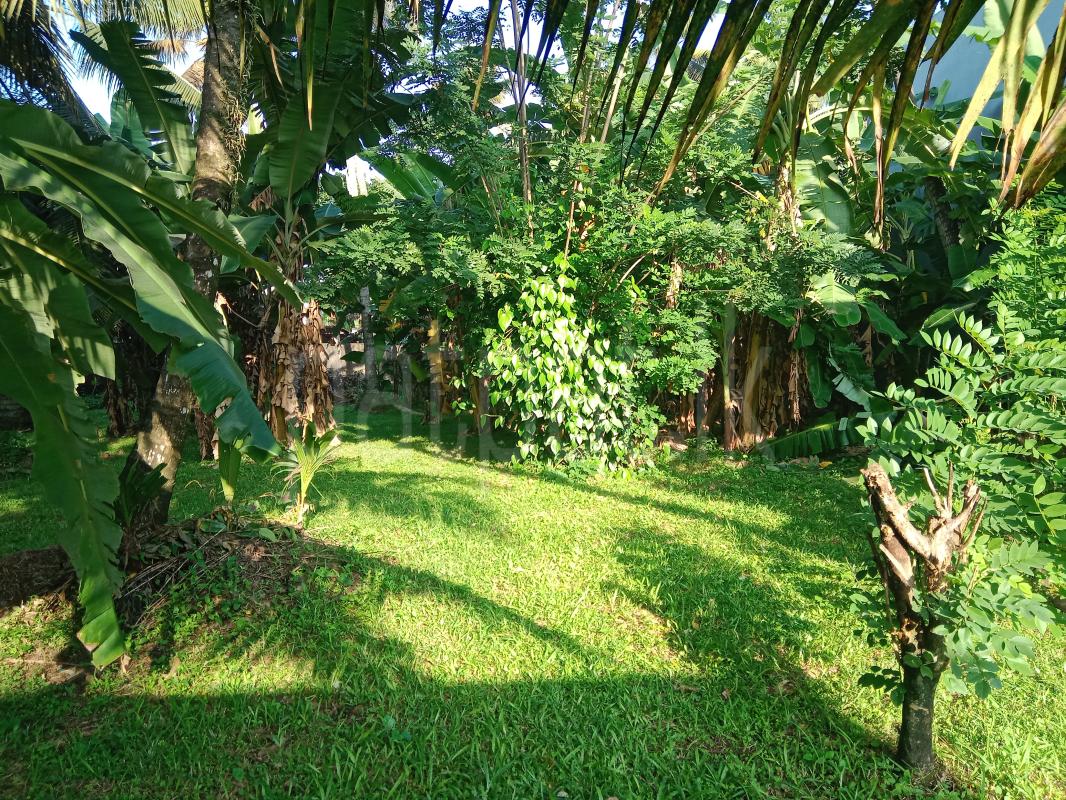 Residential Land for Sale in Kelaniya ads-image-1
