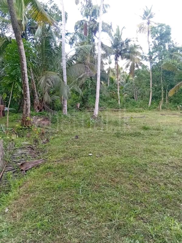 Agricultural Land for Sale in Maho