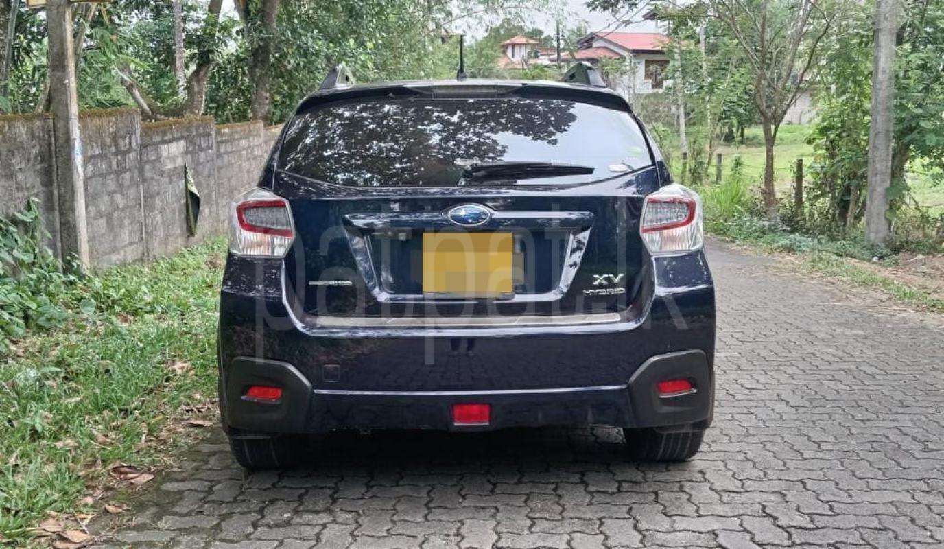 Advertisement image 3