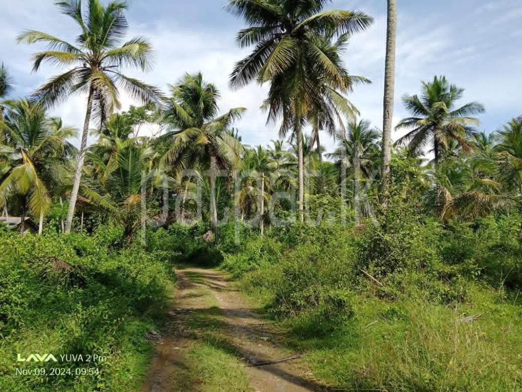 Agricultural Land for Sale in Wariyapola
