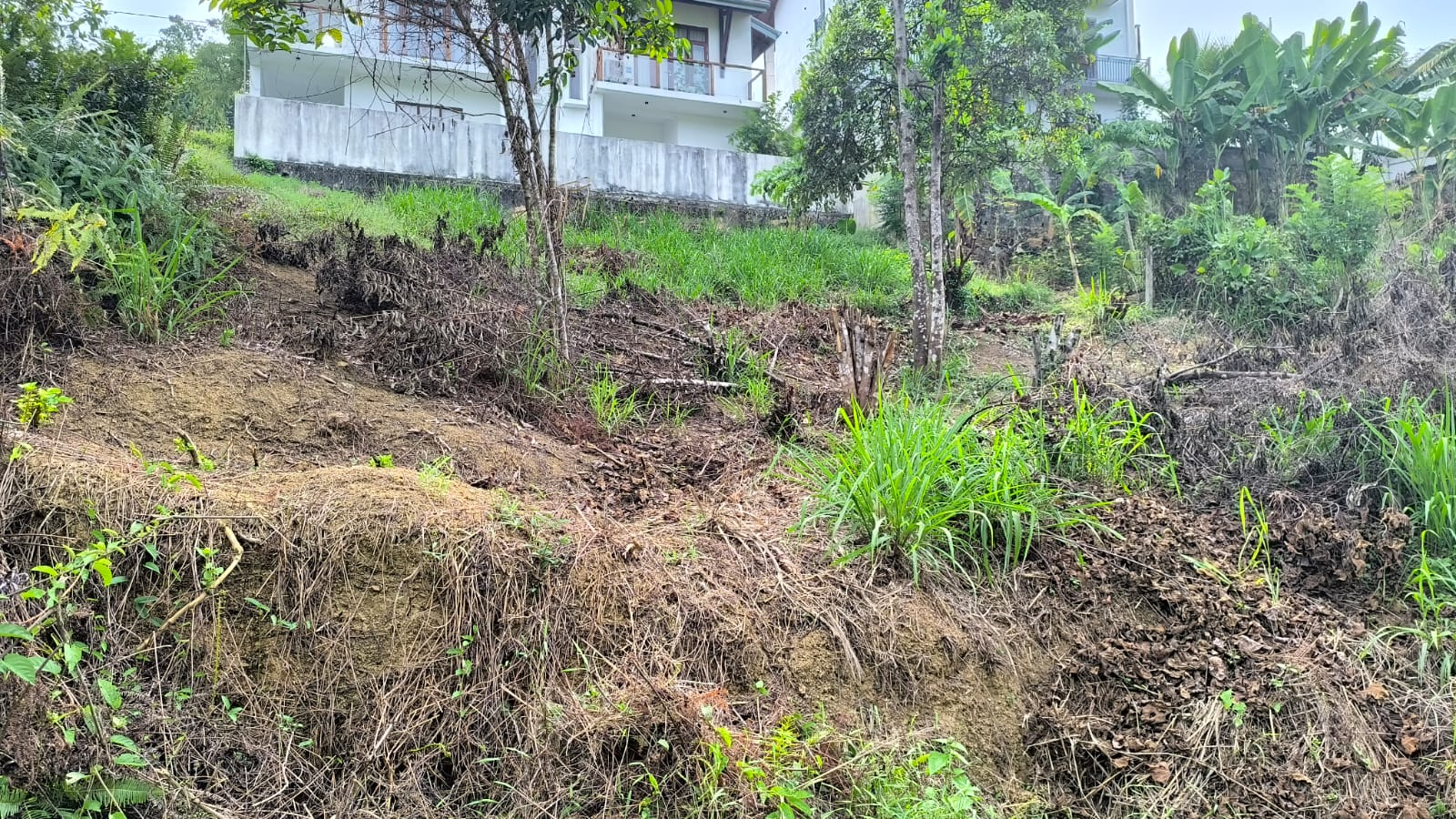 Residential Land for Sale in Ratnapura