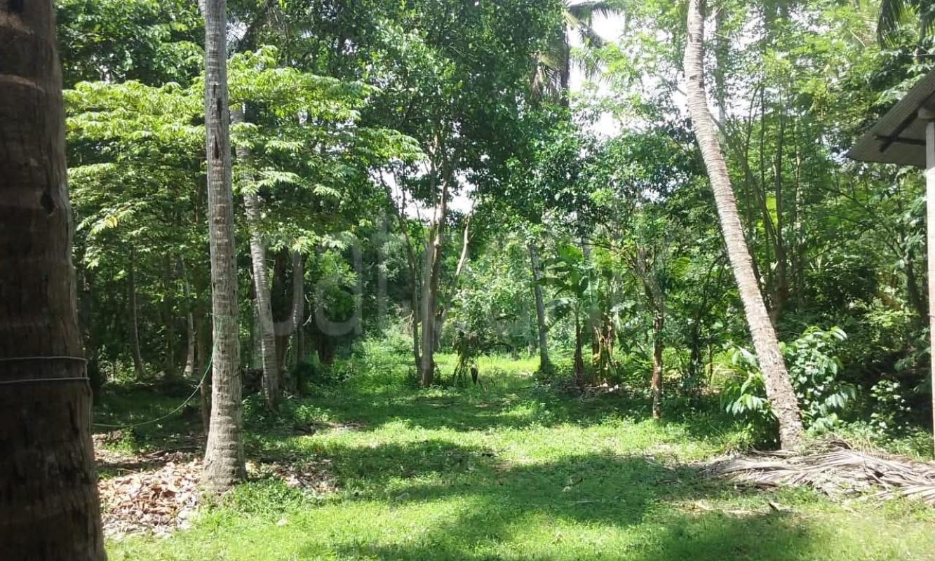 Agricultural Land for Sale in Wariyapola