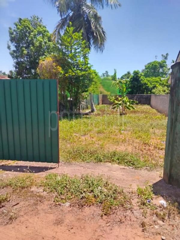 Commercial Land for Sale in Panadura