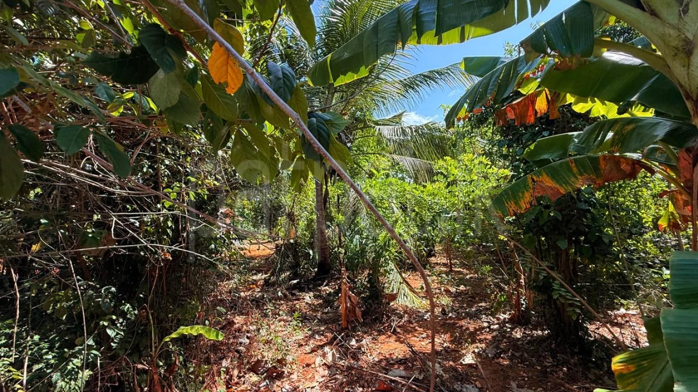 Residential Land for Sale in Embilipitiya
