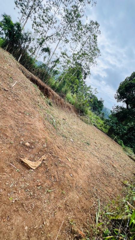Residential Land for Sale in Ukuwela