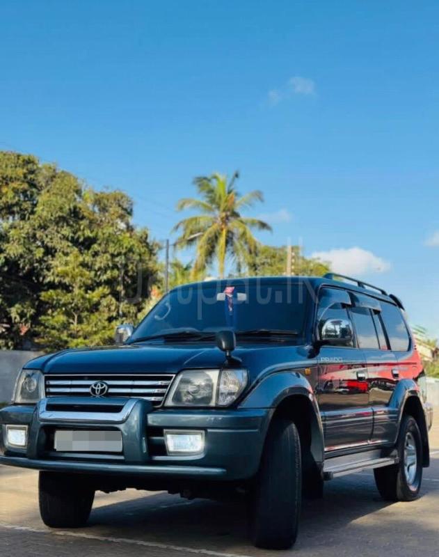 Advertisement image 3