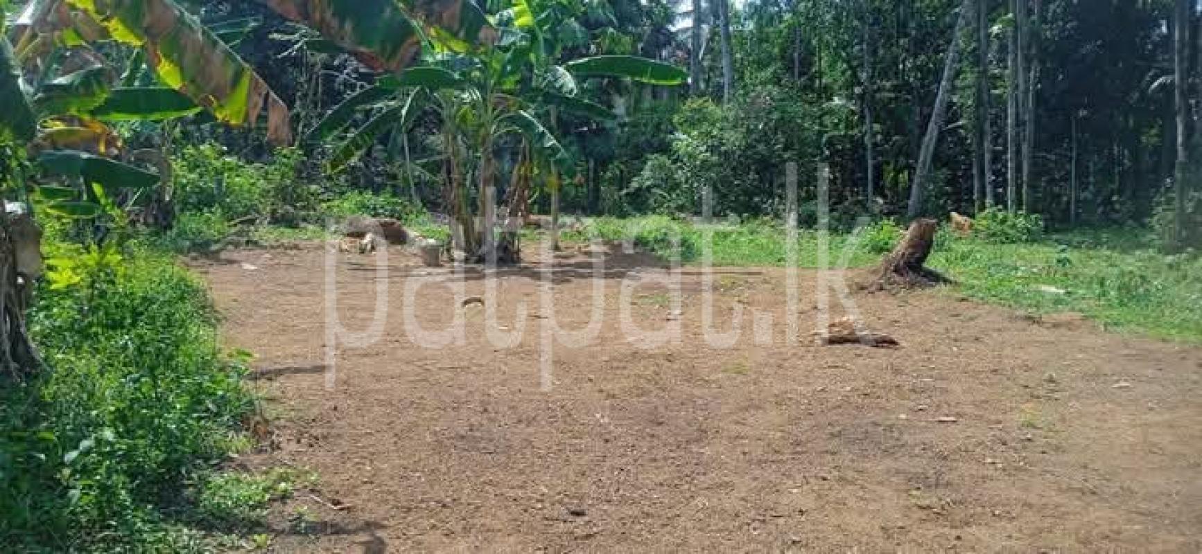 Residential Land for Sale in Kadawatha ads-image-1